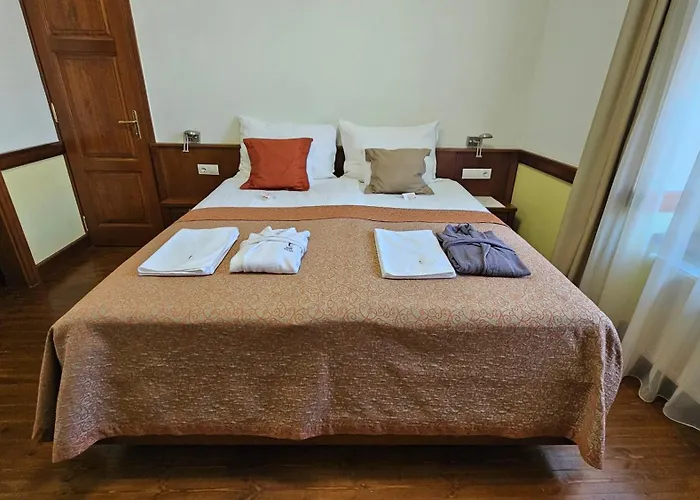 Pensionat Trifecta Udvarhaz 4*